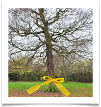 Tie a Yellow Ribbon - Carol Sparkes